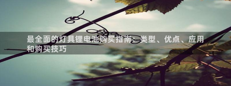 尊龙游戏官网：最全面的灯具锂电池购买指南：类型、优点、应用
和购买技巧