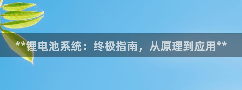 尊龙休闲e站怎么样：**锂电池系统：终极指南，从原理到应用**