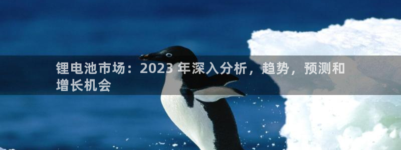 凯时网址多少：锂电池市场：2023 年深入分析，趋势，预测和
增长机会